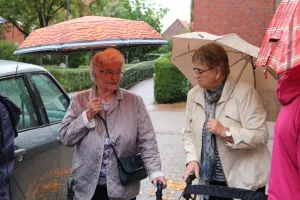 Galeriebild