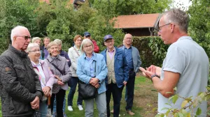 Galeriebild
