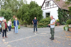 Galeriebild