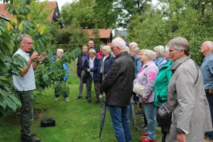 Galeriebild