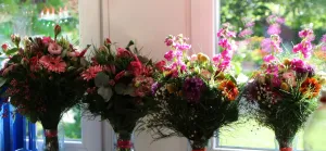 Galeriebild